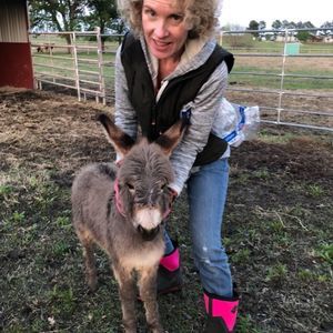 Meet your Posher, Susan